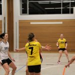 2016_01_23 Landesliga Frauen